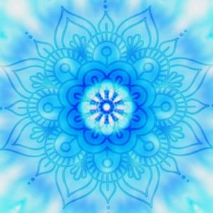 Meet your Posher, Chanceala